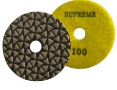 Dps4100