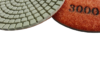 Pwwp43000 (1)